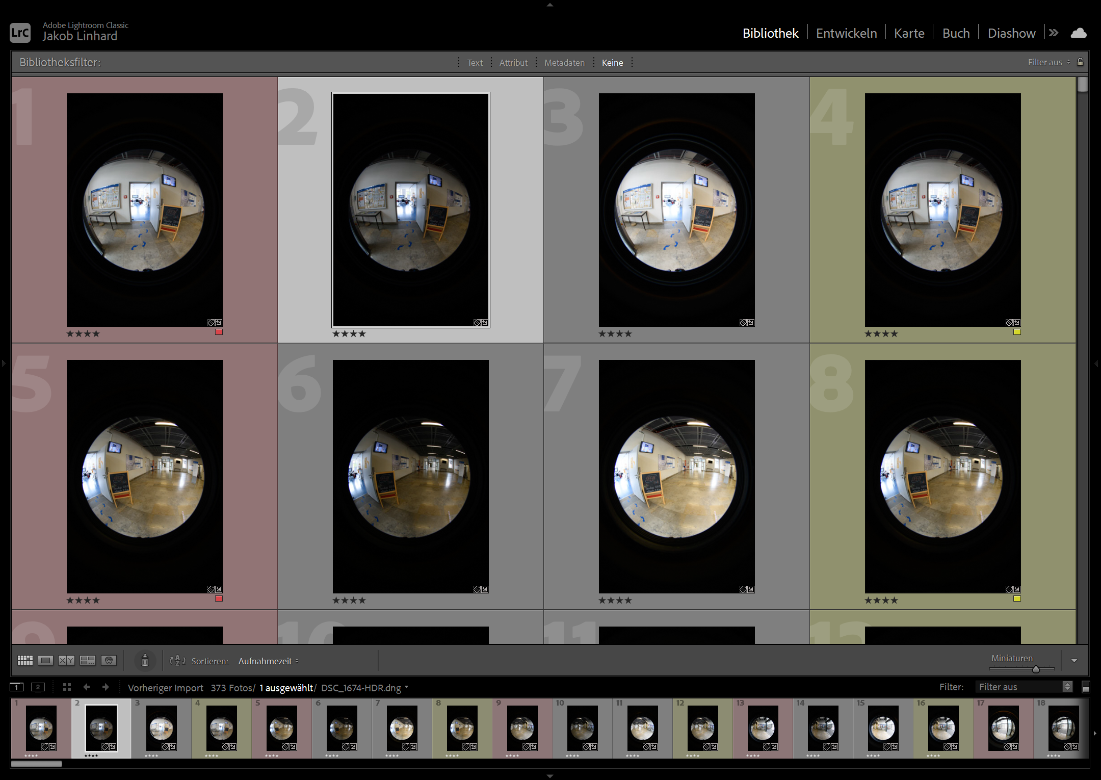 Screenshot des Programms Lightroom. Vorschaubilder in Kachelansicht. Bilder sind mit farbigen Tags und Sternen markiert.